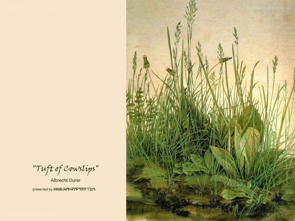 Tuft of Cowslips