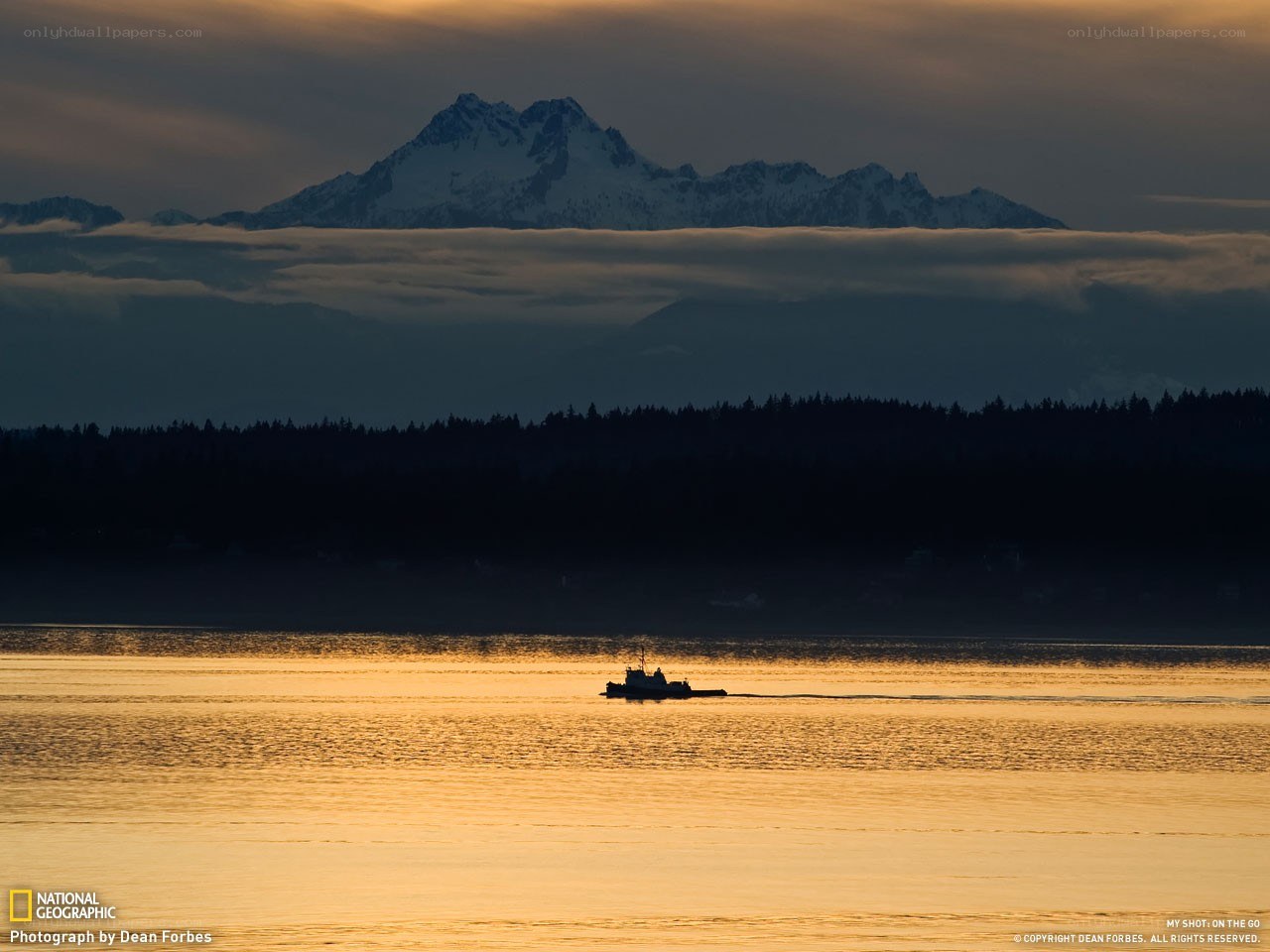Tugboat on a golden lake