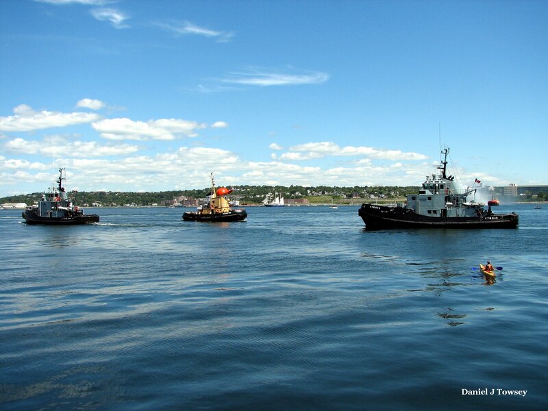 Tugboats in harbor on sunny day