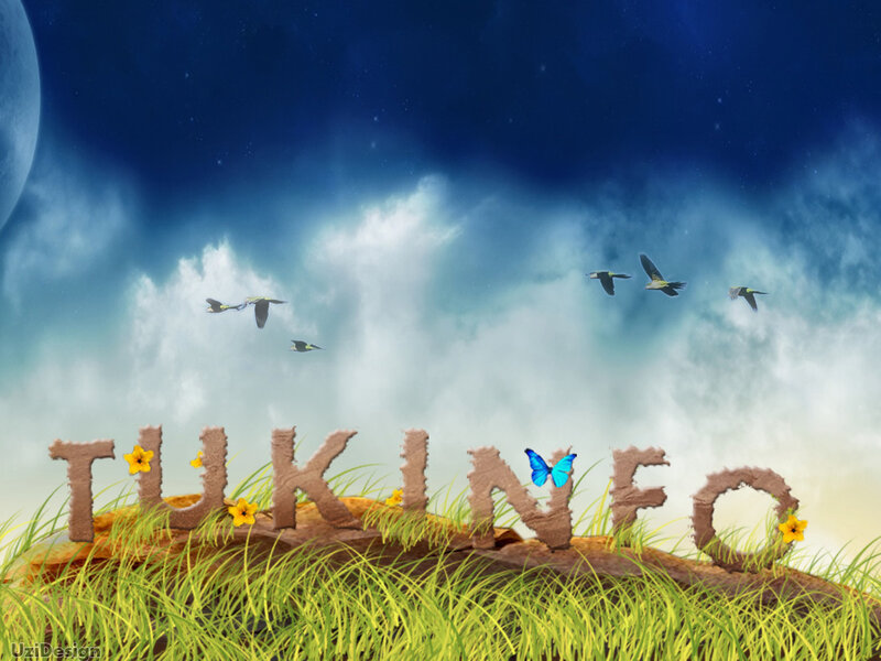 Tukinfo logo with nature scene