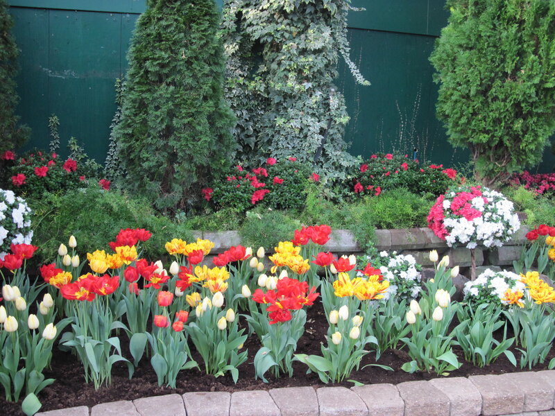 Tulip and Azalea Garden — Red
