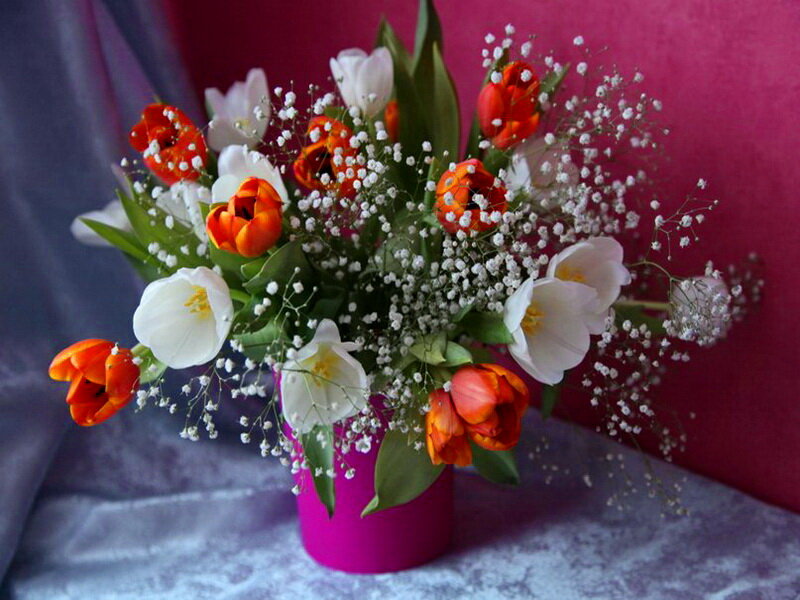 Tulip and Baby's Breath Bouquet