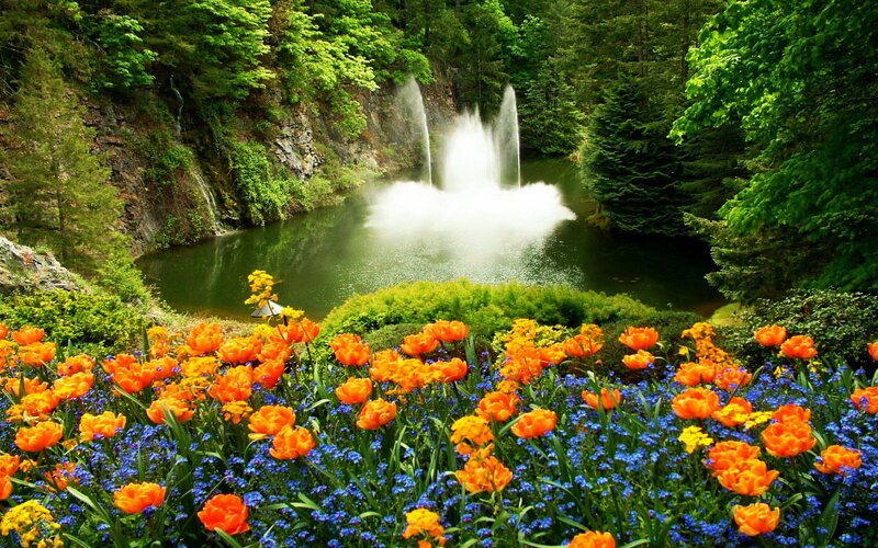 Tulip and Bluebell Garden — Orange
