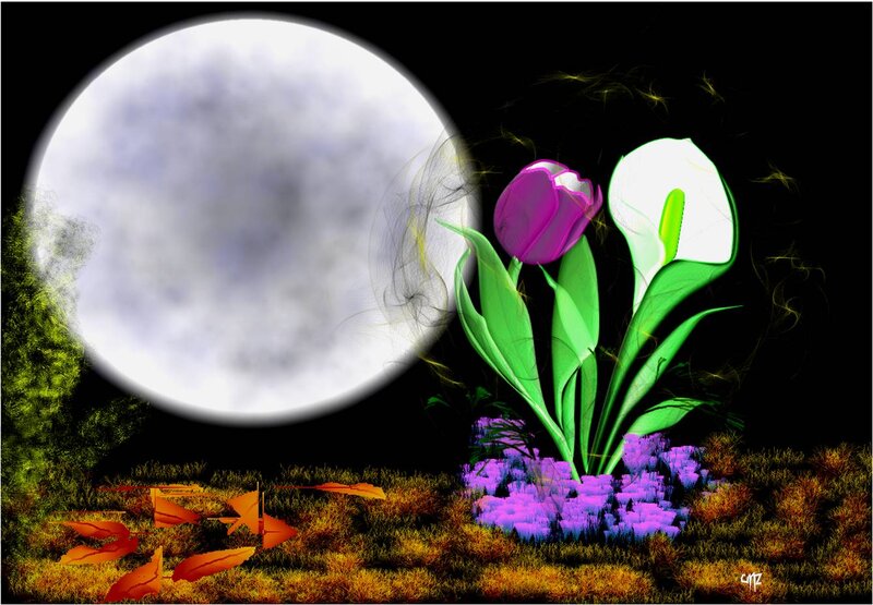 Tulip and Calla Lily