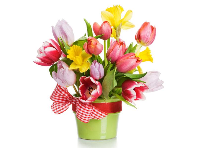 Tulip and Daffodil Bouquet — Green