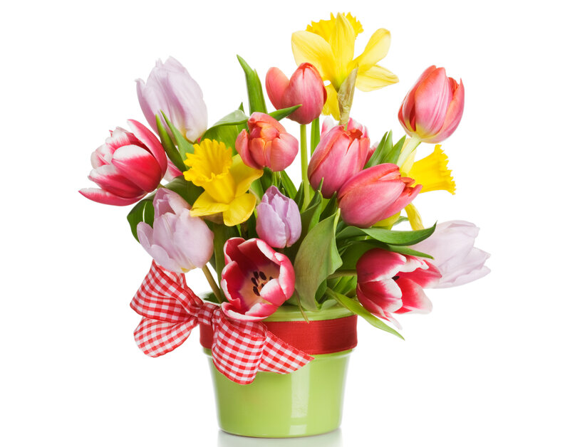Tulip and Daffodil Bouquet