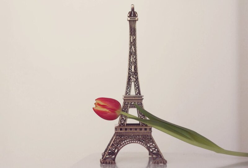Tulip and Eiffel Tower Model