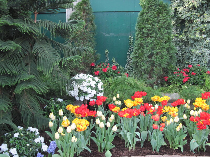 Tulip and Flower Garden — Red