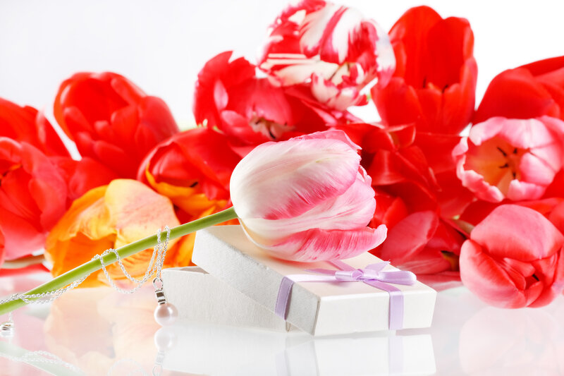 Tulip and Gift Box