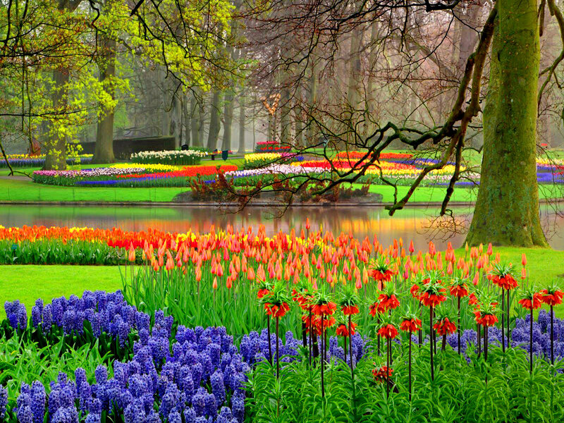 Tulip and Hyacinth Garden — Green