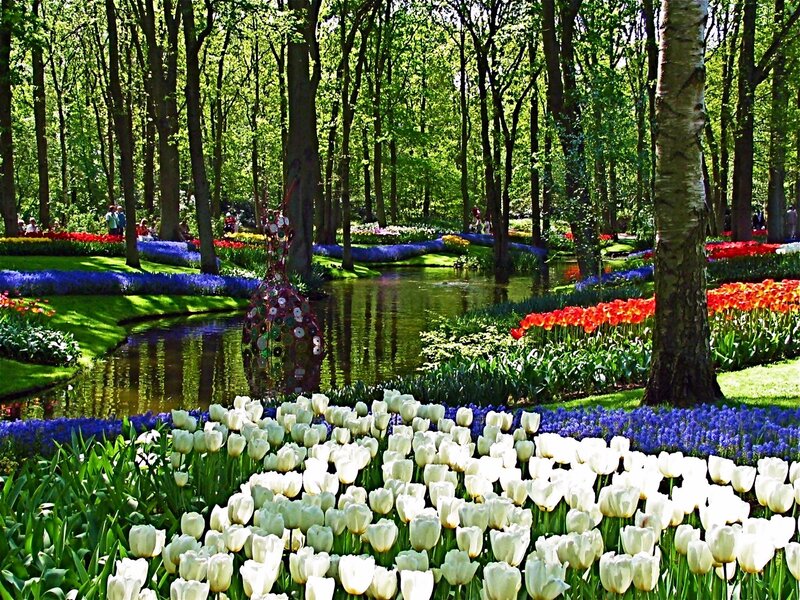 Tulip and Hyacinth Garden — White