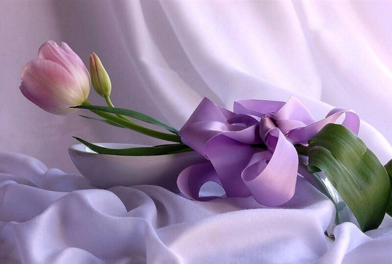 Tulip and Purple Ribbon — Serene
