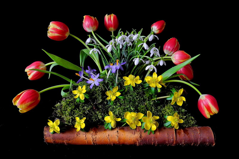Tulip and Snowdrop Arrangement