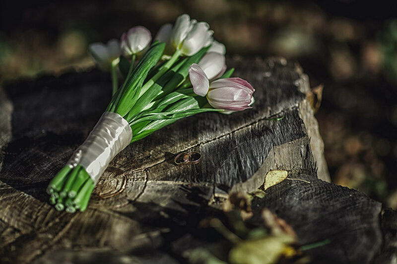 Tulip Bouquet and Rings