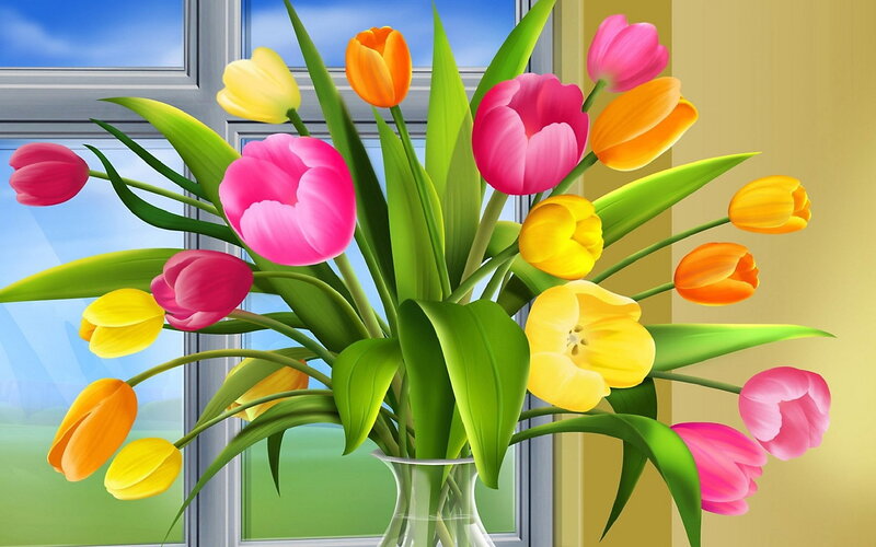 tulip bouquet by window