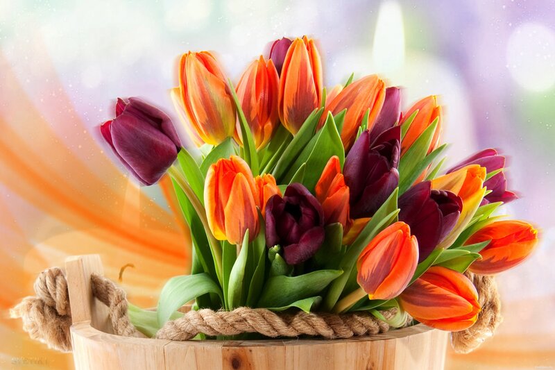 Tulip Bouquet in Basket — Orange
