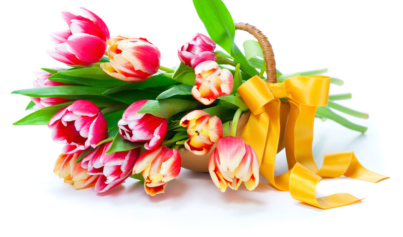 Tulip Bouquet in Basket — Pink, Bright, Spring
