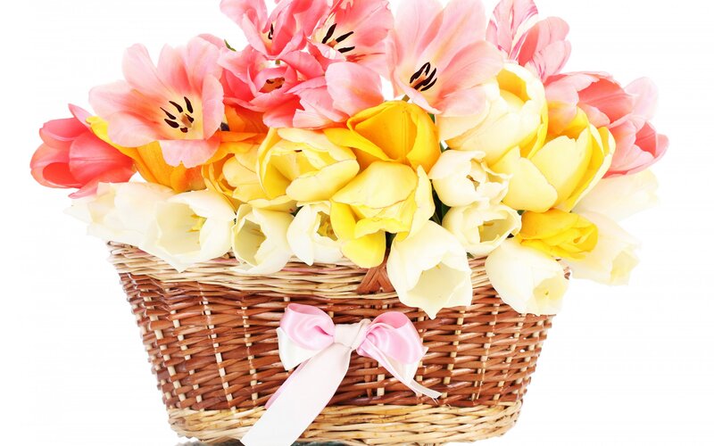 Tulip Bouquet in Basket — Pink, Bright