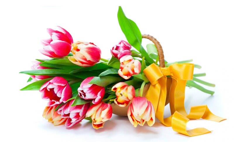 Tulip Bouquet in Basket — Pink, Calm, Spring