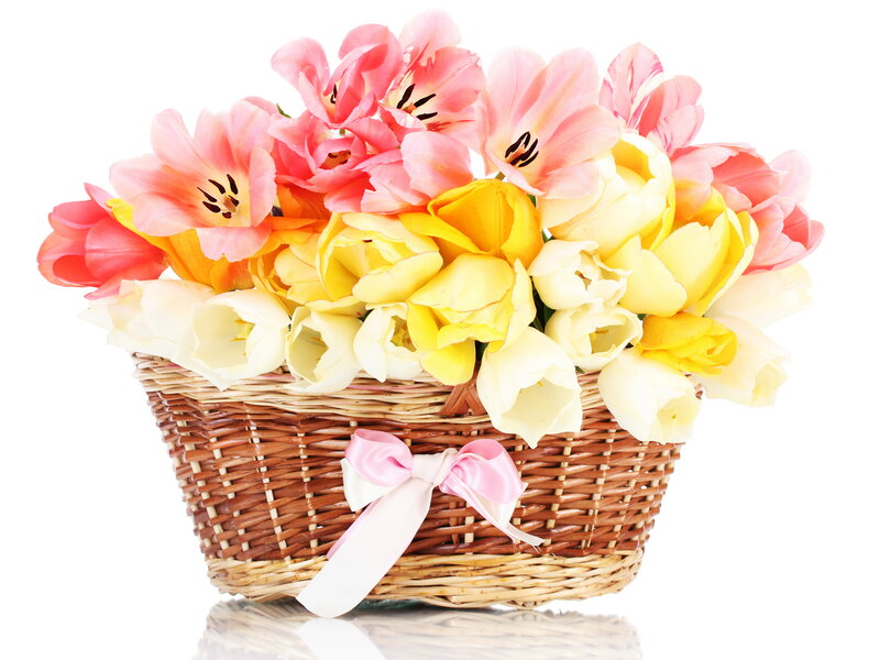 Tulip Bouquet in Basket — Pink, Cheerful