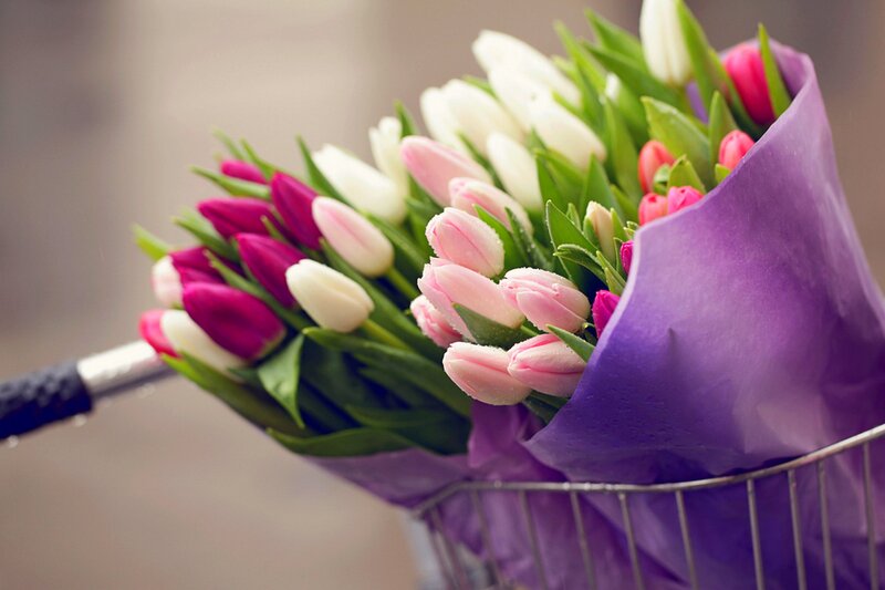 Tulip Bouquet in Basket — Purple