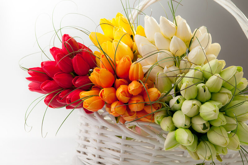 Tulip Bouquet in Basket — Red
