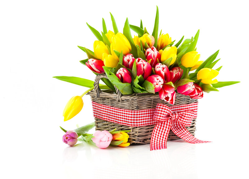 Tulip Bouquet in Basket — Yellow, Bright, Spring
