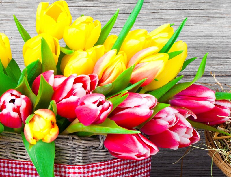 Tulip Bouquet in Basket — Yellow, Bright