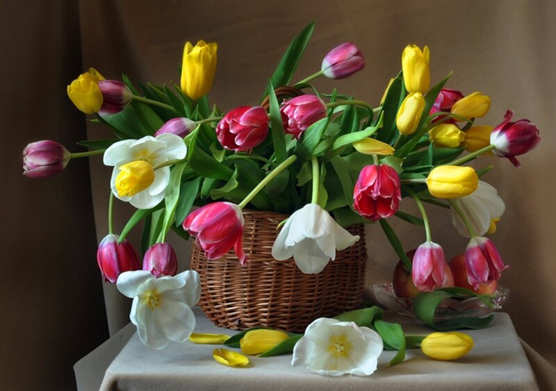 Tulip Bouquet in Basket — Yellow, Calm