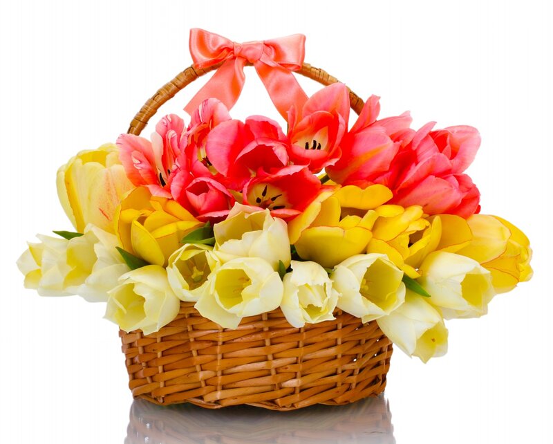 Tulip Bouquet in Basket — Yellow, Festive, Spring