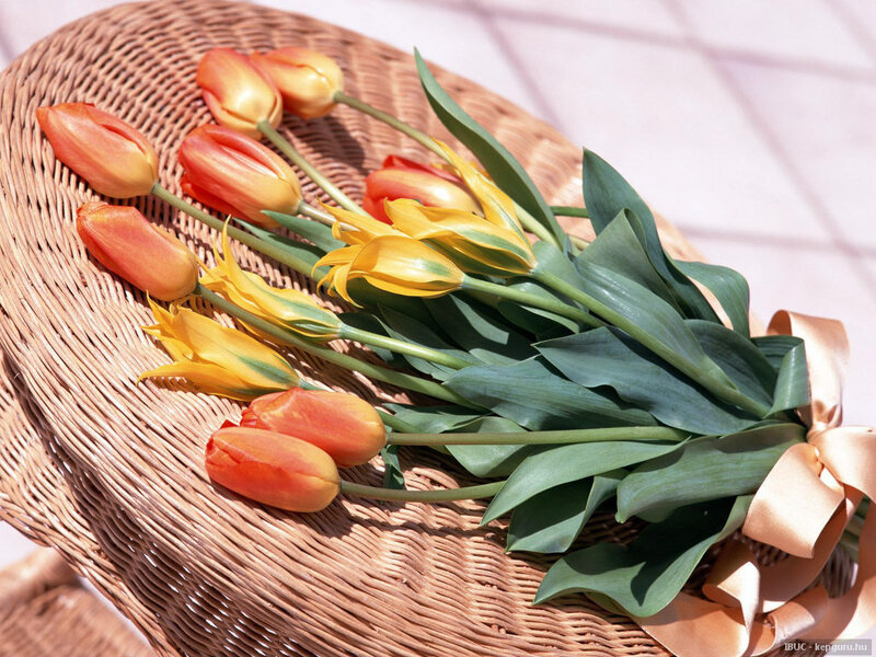 Tulip Bouquet in Basket — Yellow