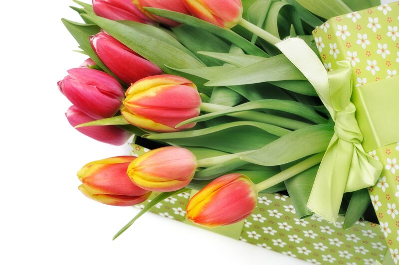 Tulip Bouquet in Box