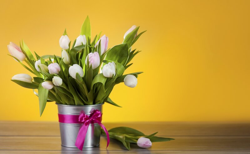 Tulip Bouquet in Bucket — Yellow