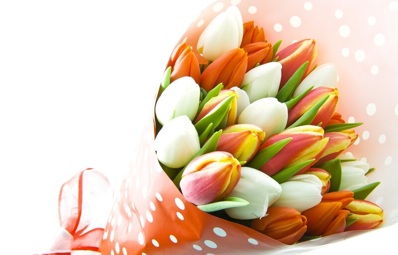 Tulip Bouquet in Paper