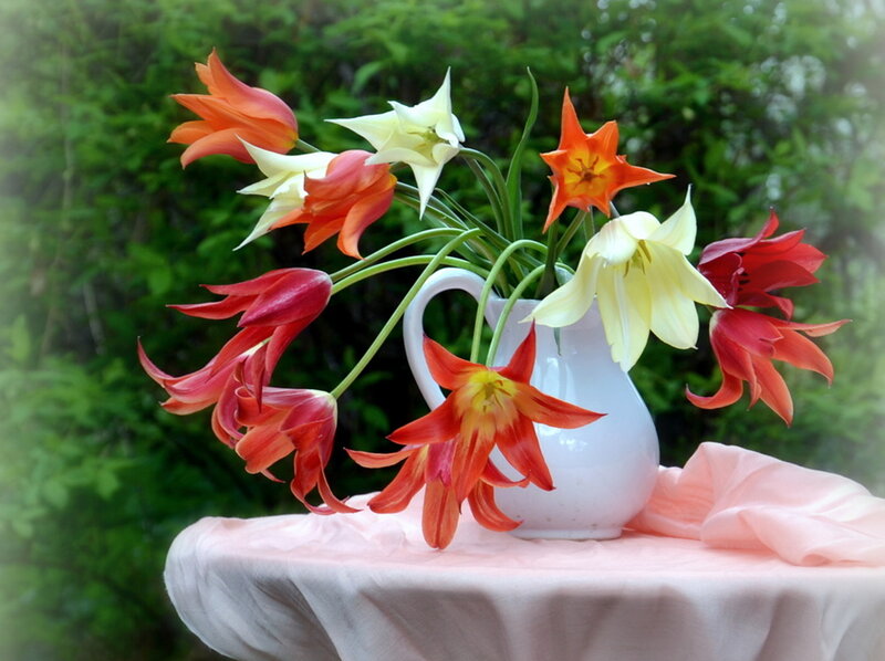 Tulip Bouquet in Pitcher — Red, Serene