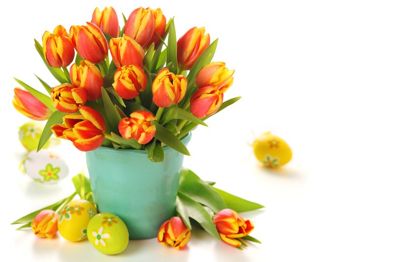 Tulip Bouquet in Pot