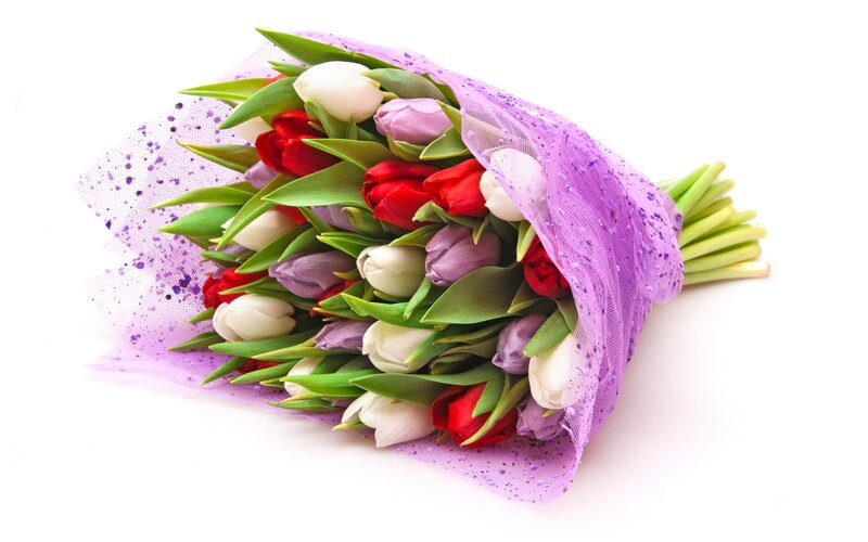 tulip bouquet in purple wrap