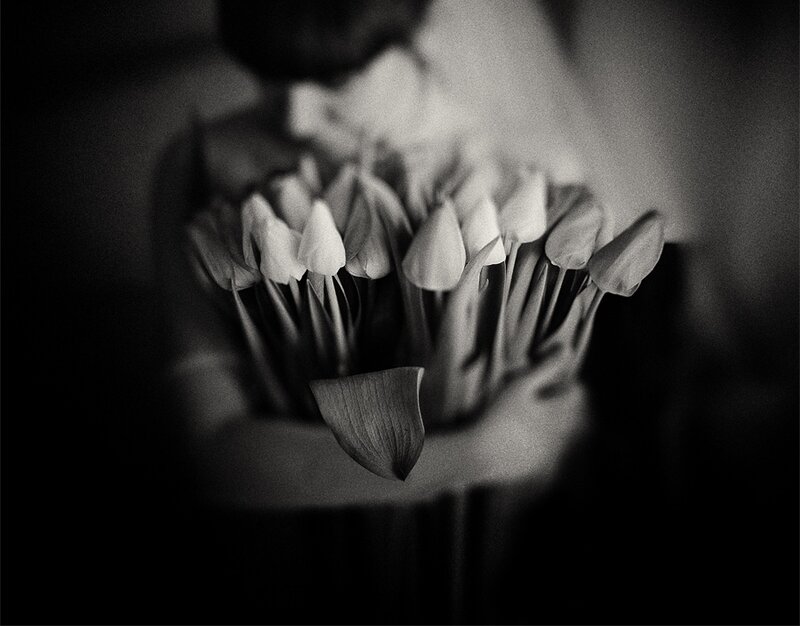Tulip Bouquet in Vase — Black