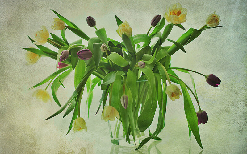 Tulip Bouquet in Vase — Green, Calm