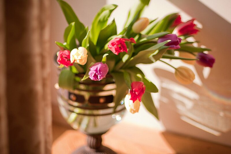 Tulip Bouquet in Vase — Green, Serene