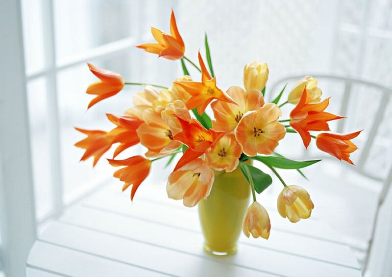 Tulip Bouquet in Vase — Orange, Serene
