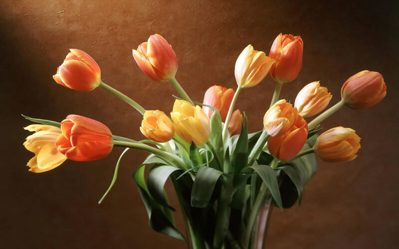 Tulip Bouquet in Vase — Orange