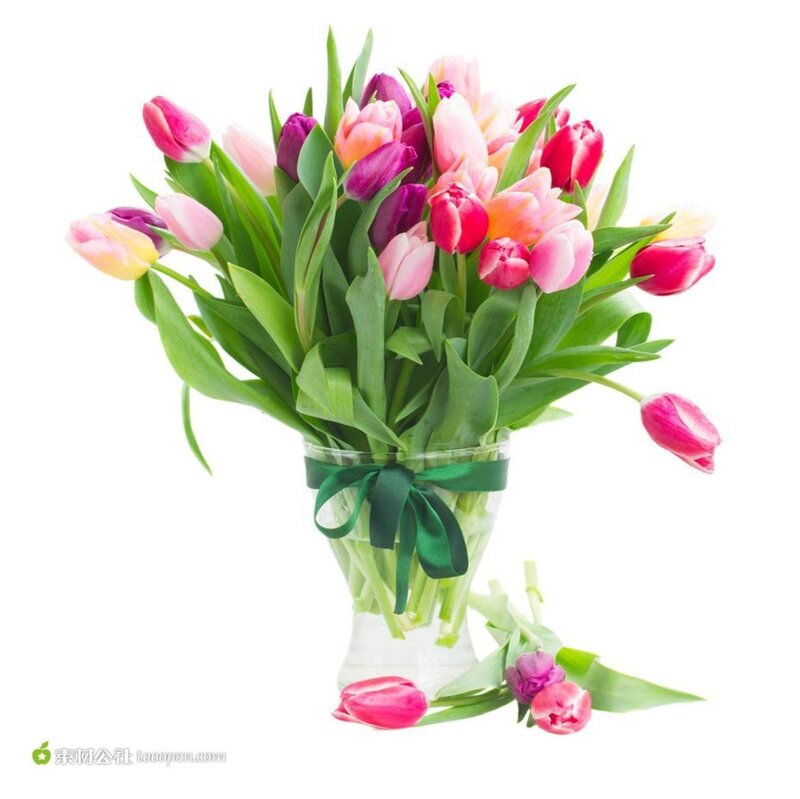 Tulip Bouquet in Vase — Pink, Calm, Spring