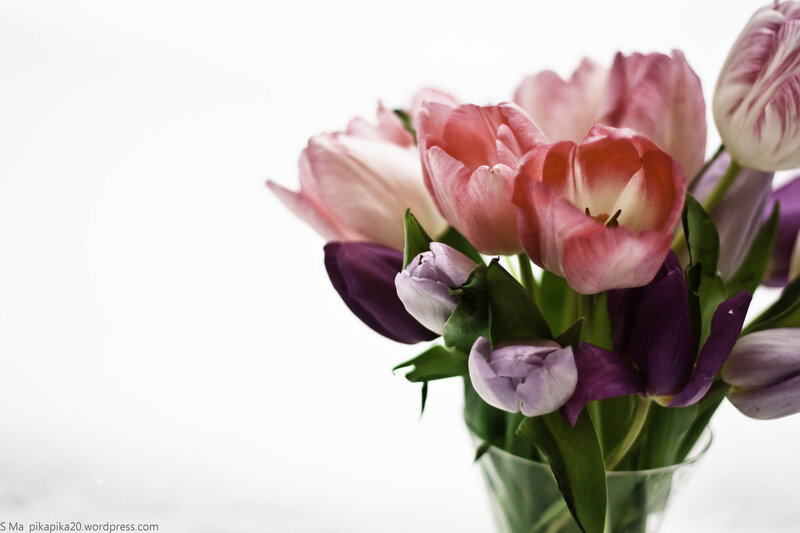 Tulip Bouquet in Vase — Pink, Serene, Spring