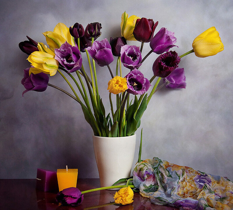 Tulip Bouquet in Vase — Purple, Calm, Photograph