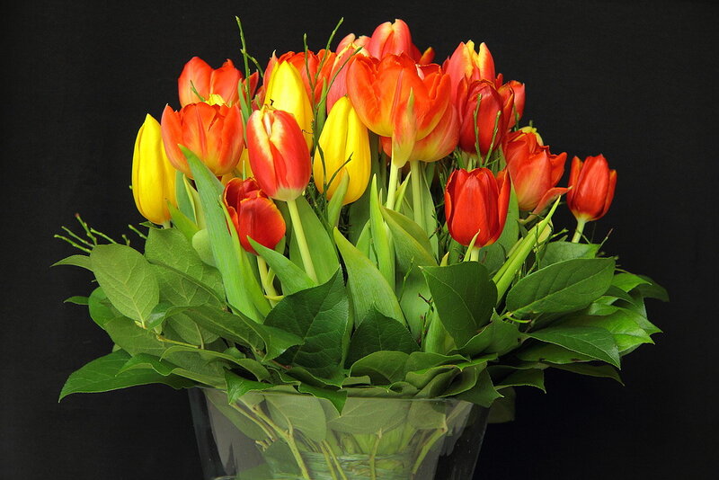 Tulip Bouquet in Vase — Red, Calm, Photograph, Leaves
