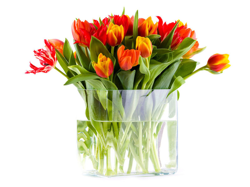 Tulip Bouquet in Vase — Red, Calm