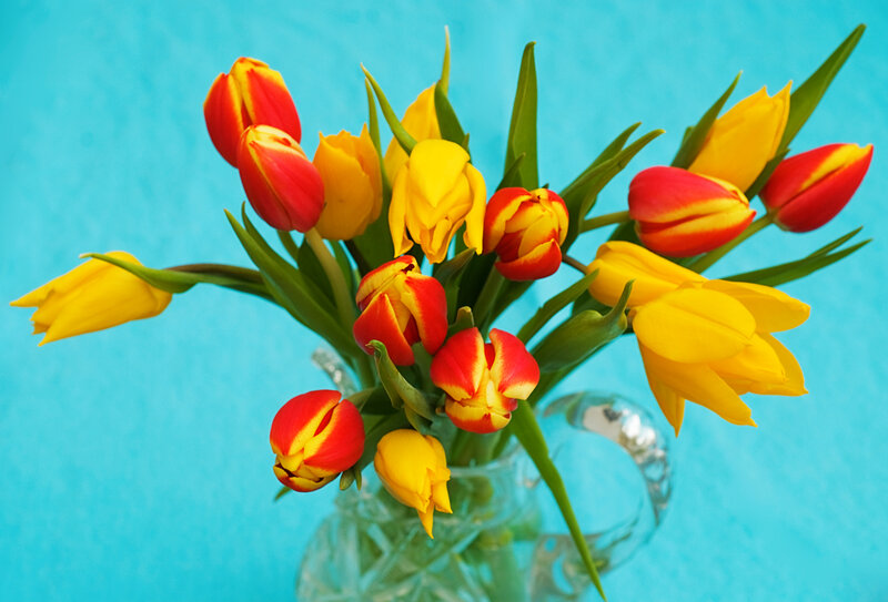 Tulip Bouquet in Vase