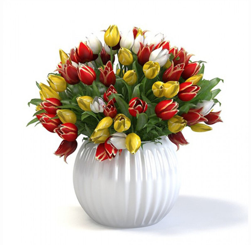 Tulip Bouquet in Vase — White, Calm, 3d Render