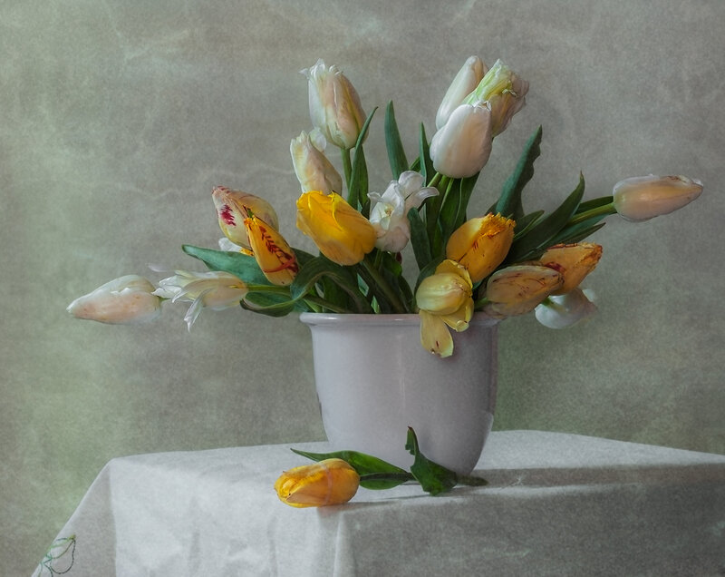 Tulip Bouquet in Vase — White, Calm